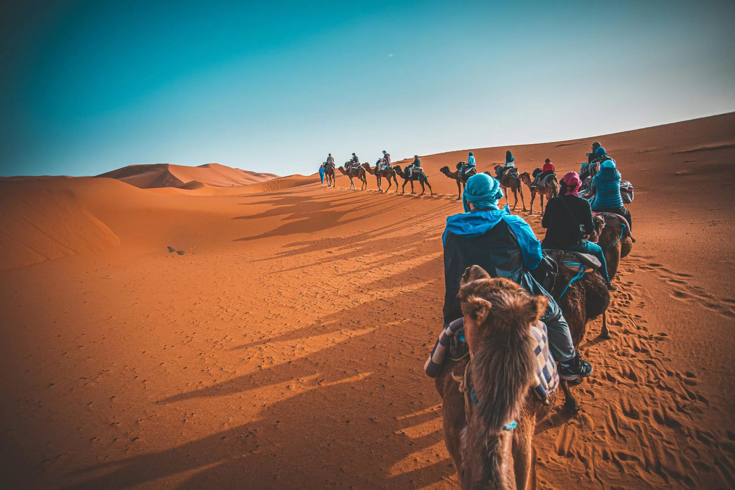 A caravan of camels in Merzouga